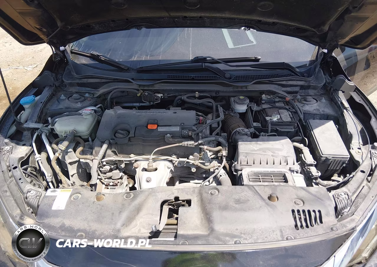 HONDA CIVIC VIN:19XFC2F68LE029699 - 10