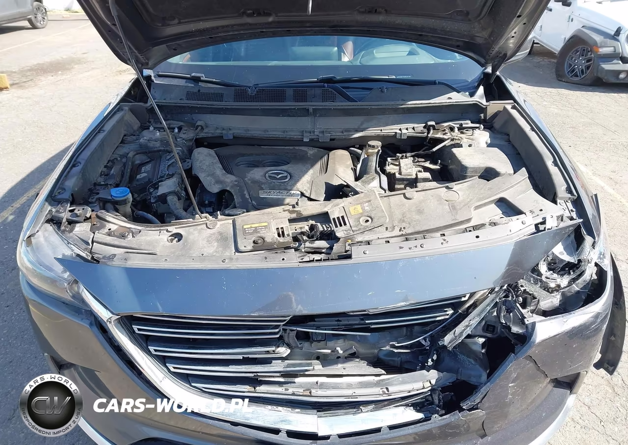 2017 Mazda Cx-9 Signature VIN:JM3TCBEY7H0141181 - 10