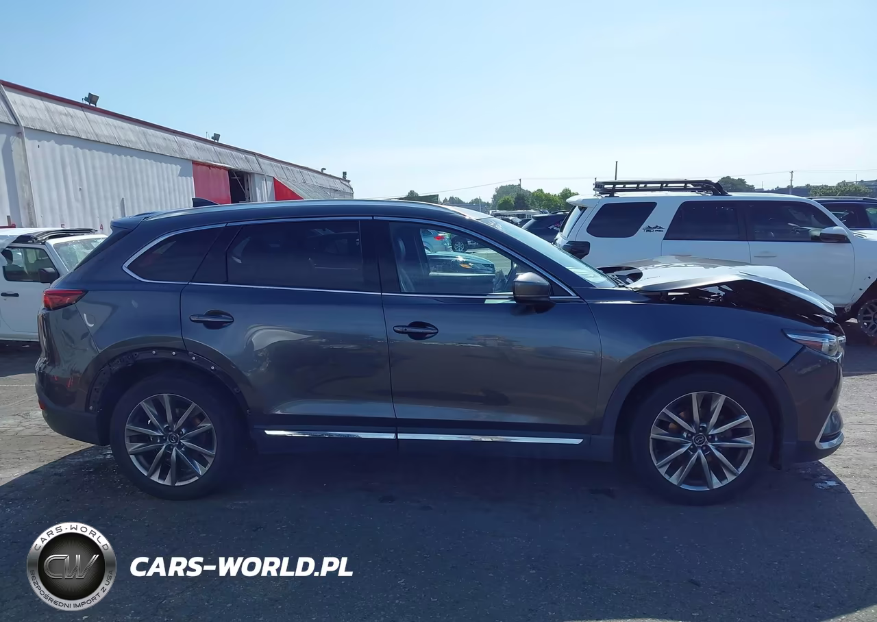 2017 Mazda Cx-9 Signature VIN:JM3TCBEY7H0141181 - 12