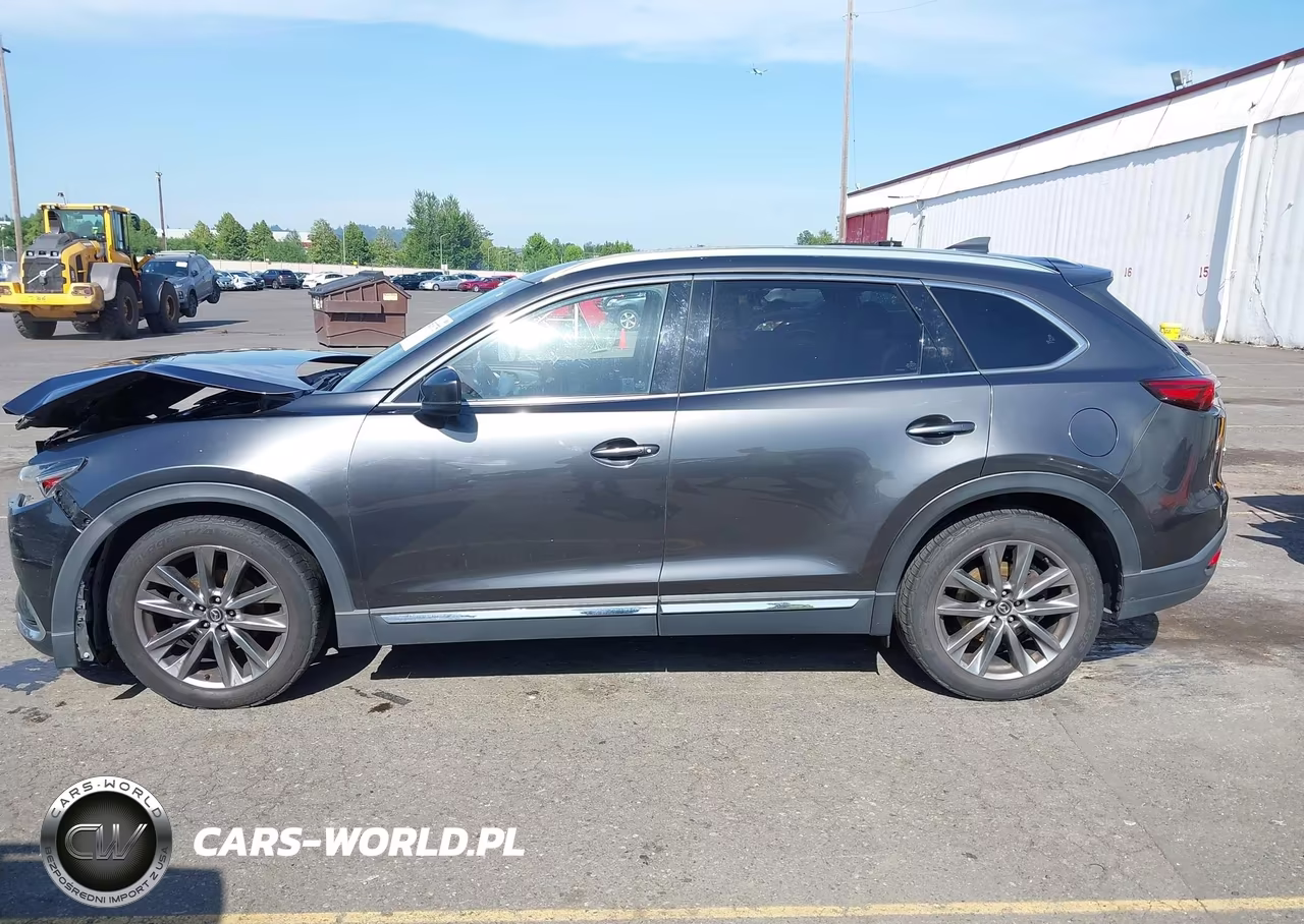 2017 Mazda Cx-9 Signature VIN:JM3TCBEY7H0141181 - 13