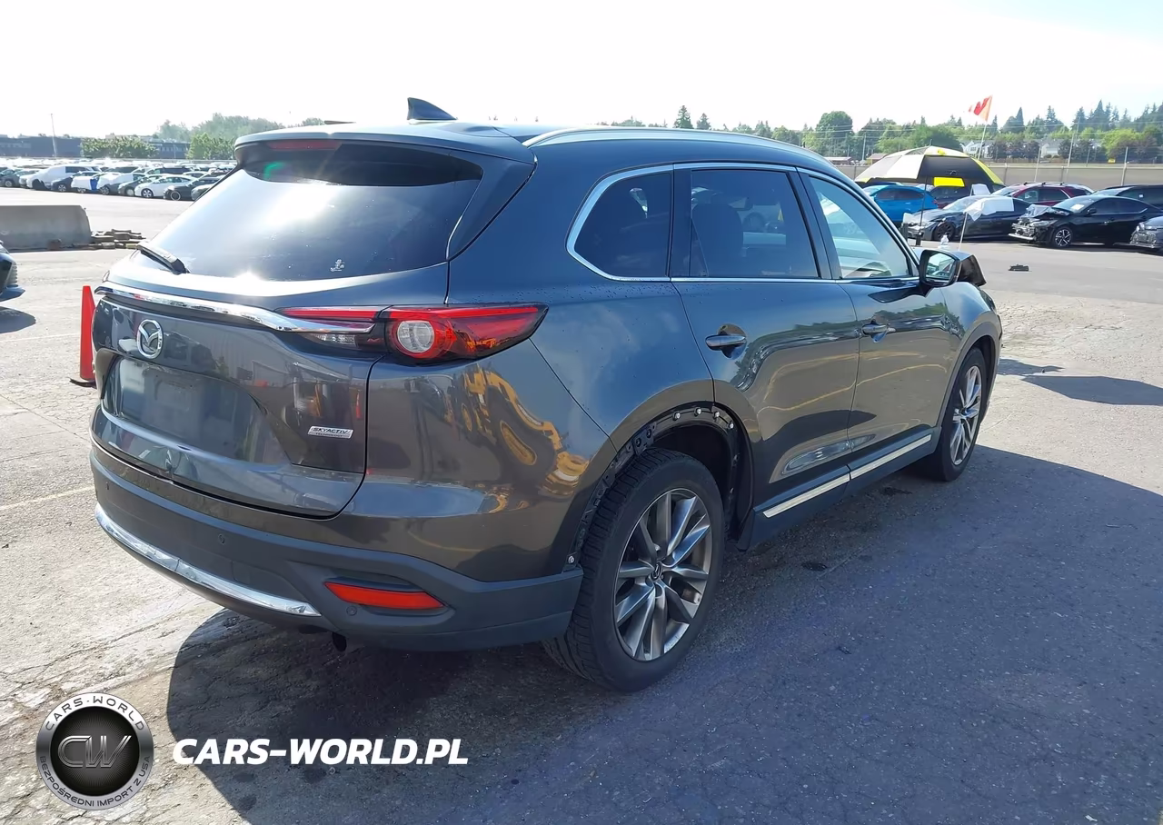 2017 Mazda Cx-9 Signature VIN:JM3TCBEY7H0141181 - 4