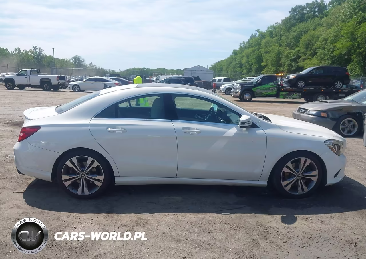 2019 Mercedes-Benz Cla 250 VIN:WDDSJ4EB0KN769018 - 13