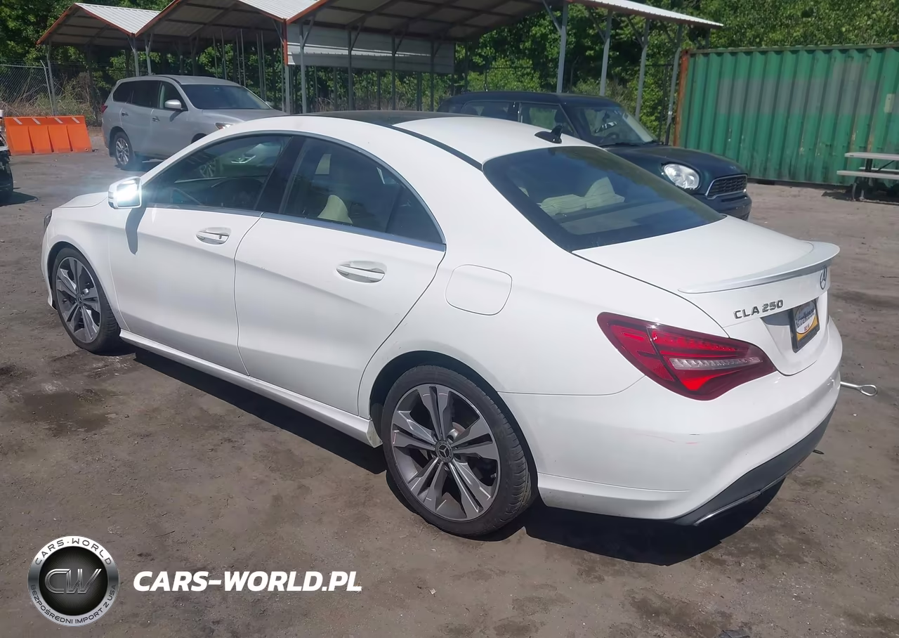 2019 Mercedes-Benz Cla 250 VIN:WDDSJ4EB0KN769018 - 3
