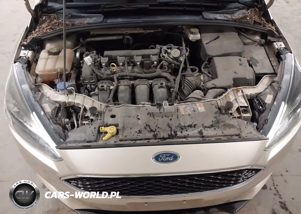 2017 Ford Focus Sel VIN:1FADP3H23HL252765 - 10