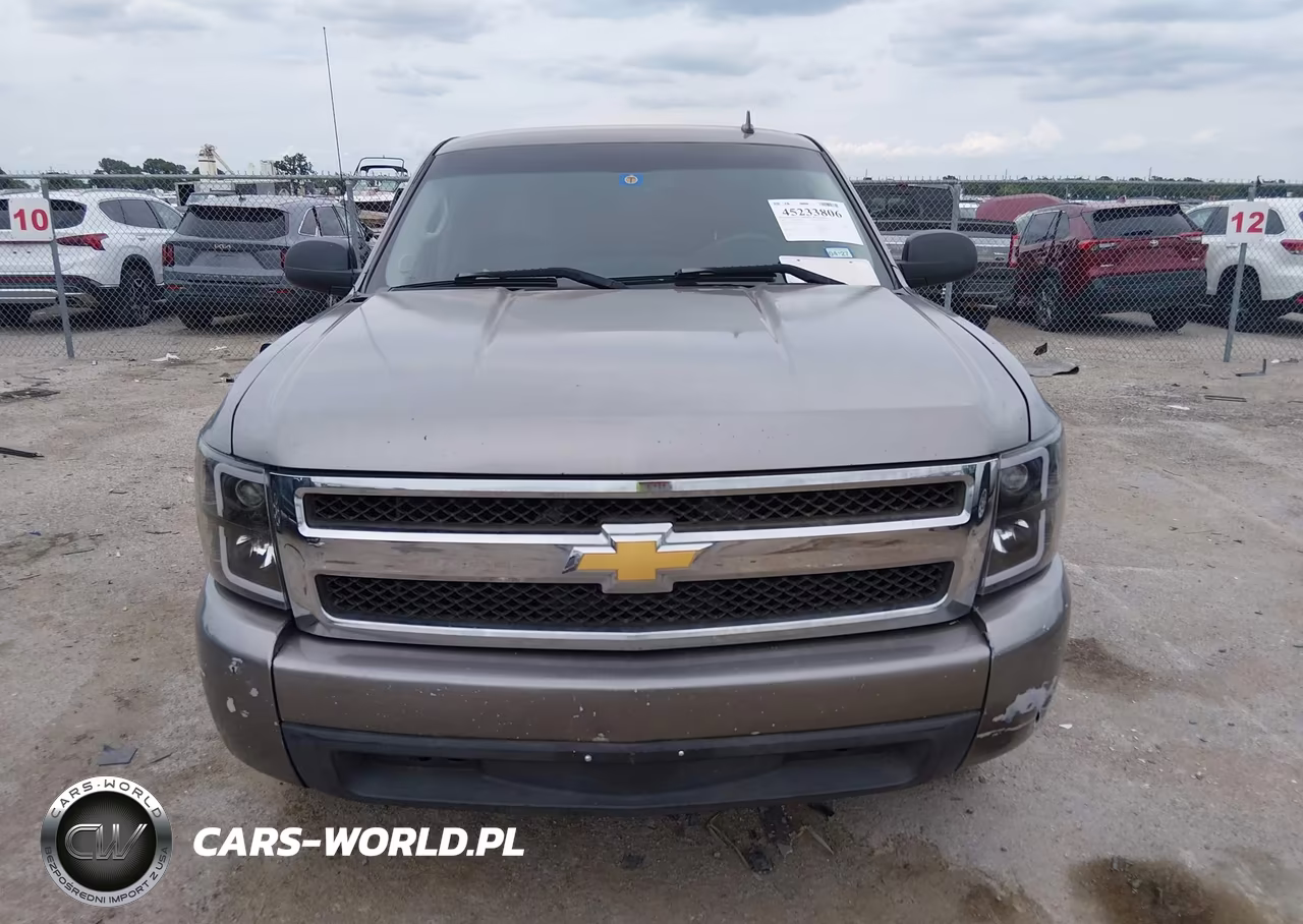 2009 Chevrolet Silverado 1500 Work Truck VIN:1GCEC19X69Z260754 - 11
