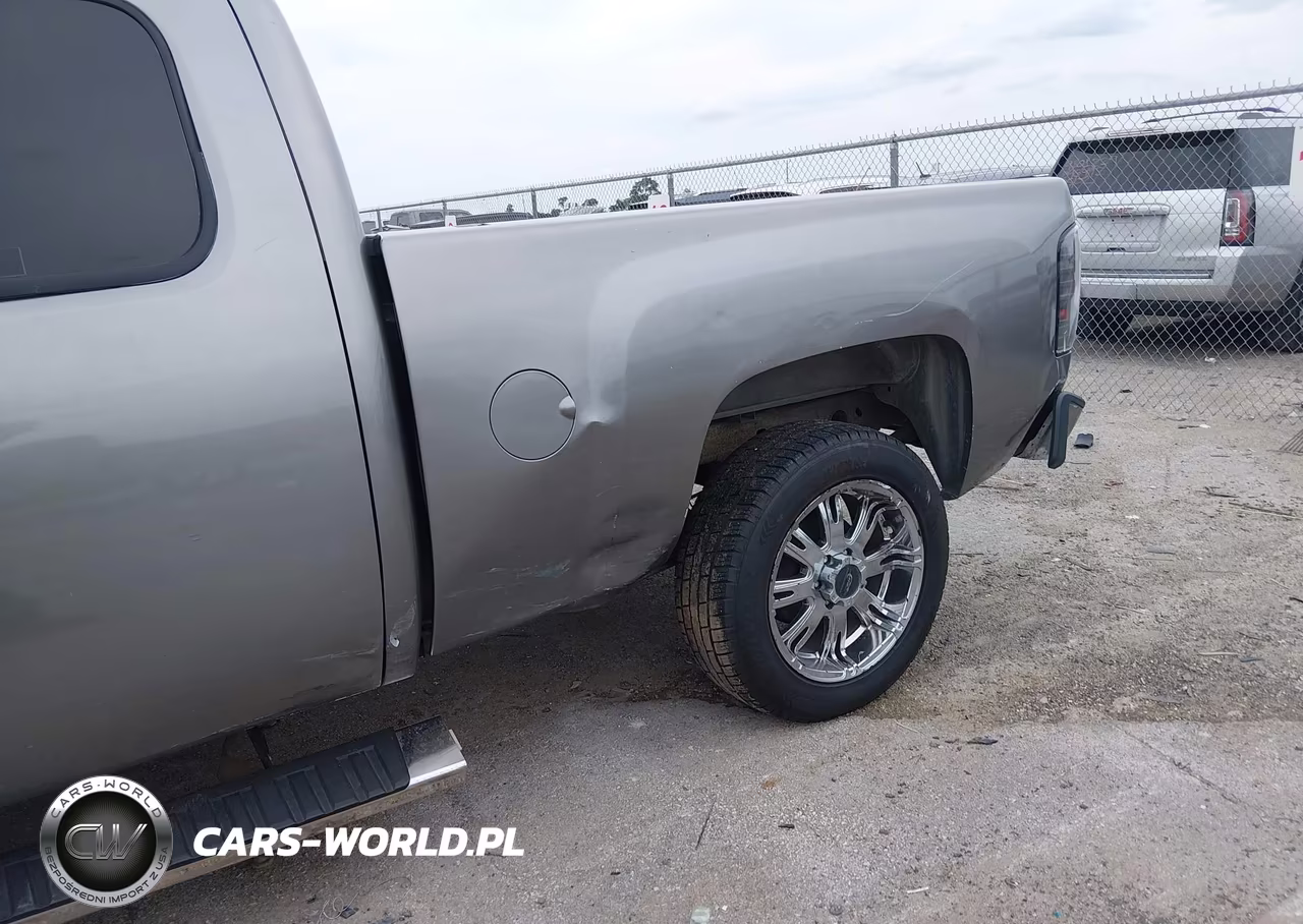 2009 Chevrolet Silverado 1500 Work Truck VIN:1GCEC19X69Z260754 - 6