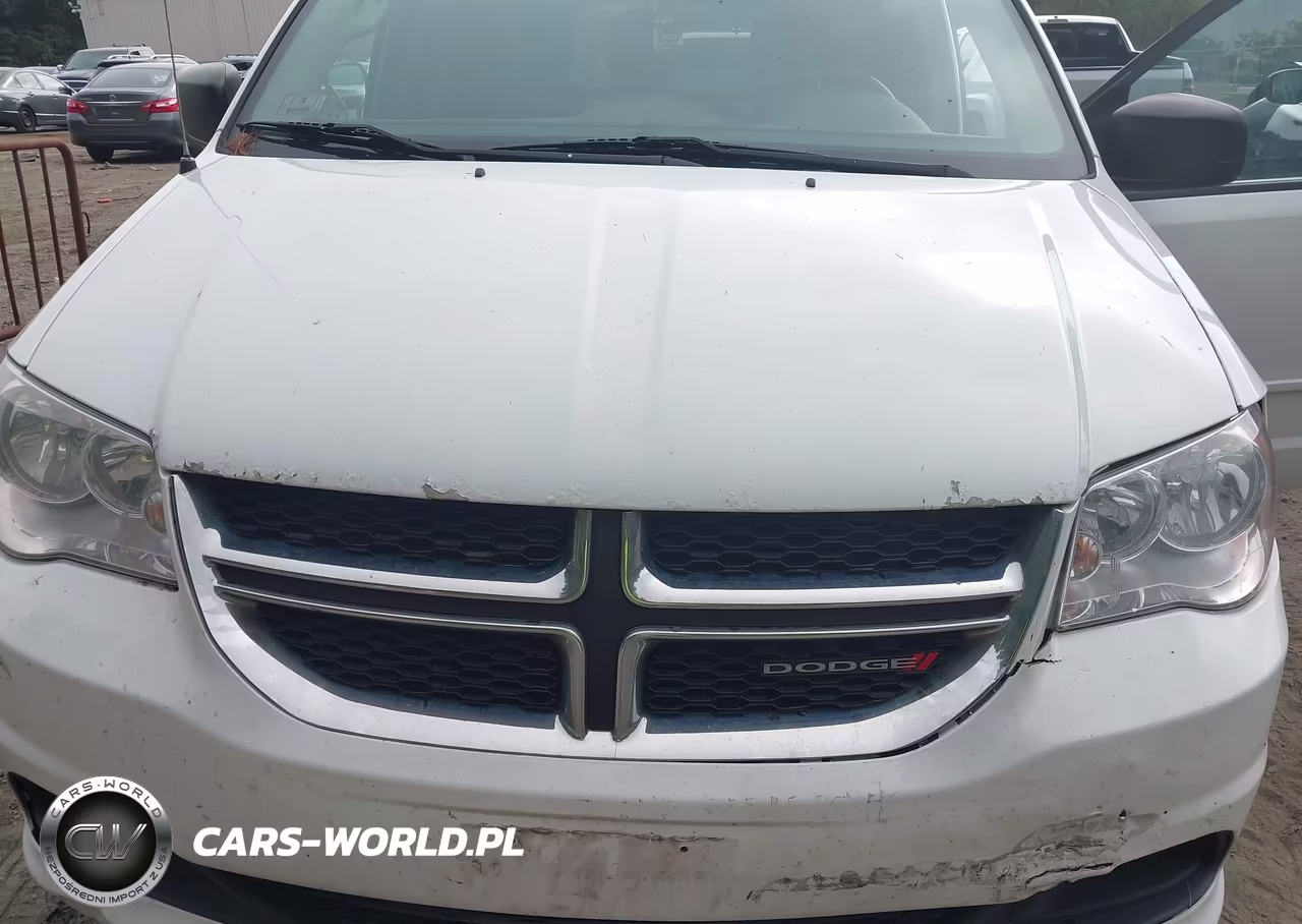 2017 Dodge Grand Caravan Se VIN:2C4RDGBG3HR637626 - 10