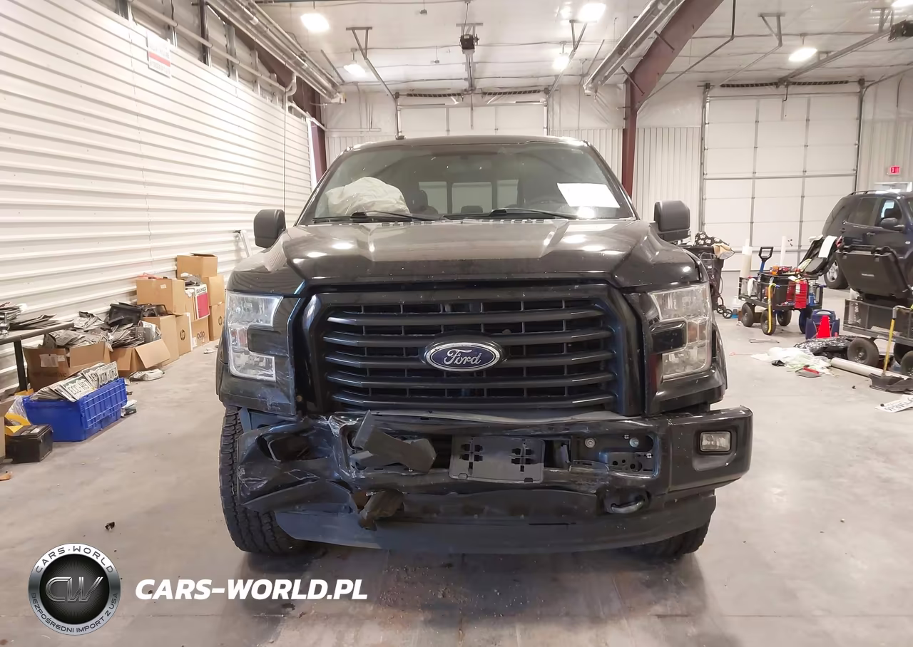 2016 Ford F-150 Xlt VIN:1FTEW1EP6GFD38316 - 13