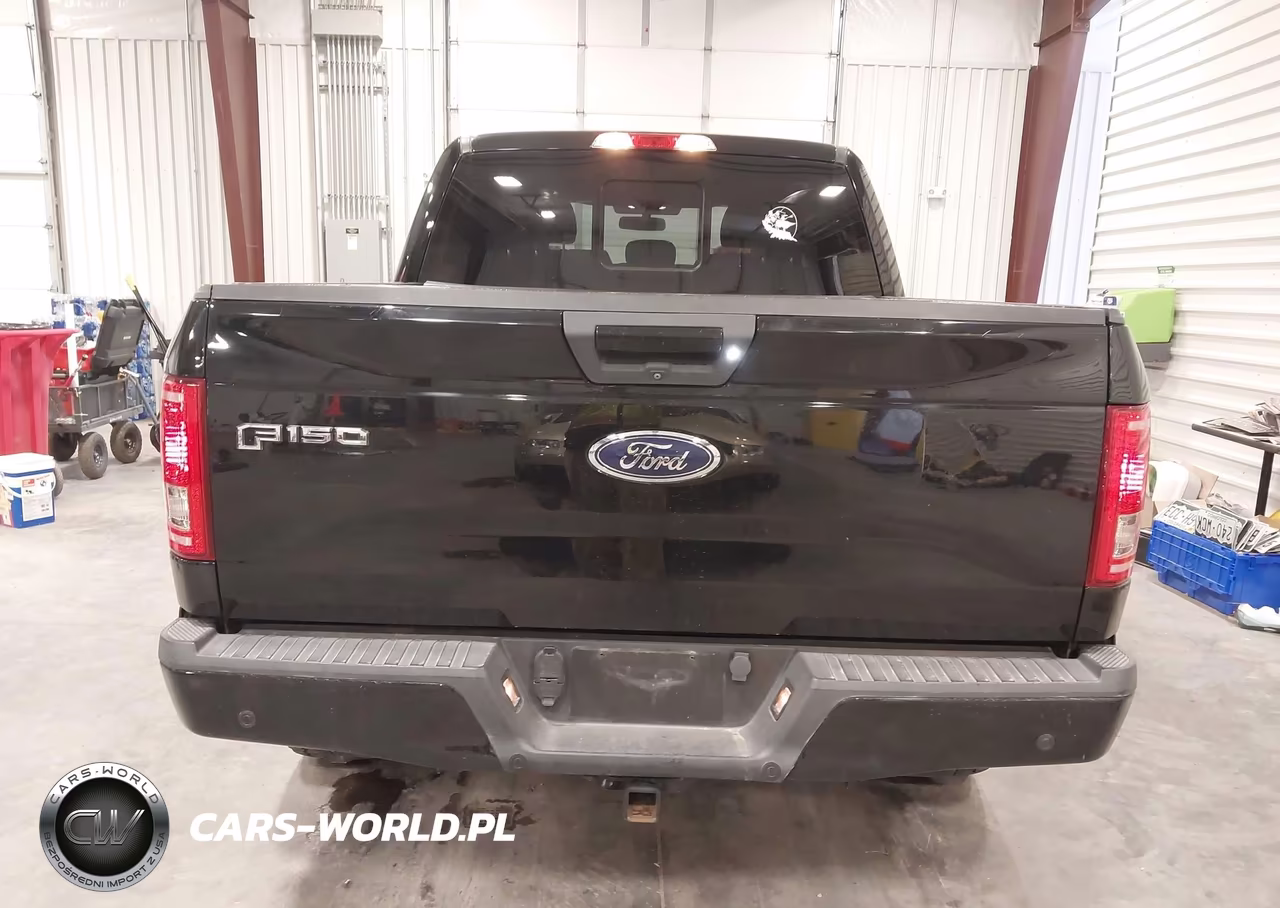 2016 Ford F-150 Xlt VIN:1FTEW1EP6GFD38316 - 17