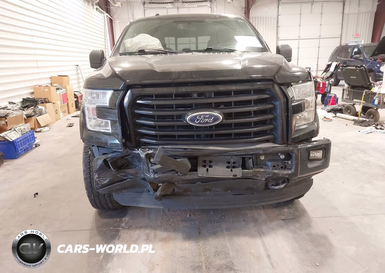 2016 Ford F-150 Xlt VIN:1FTEW1EP6GFD38316 - 6