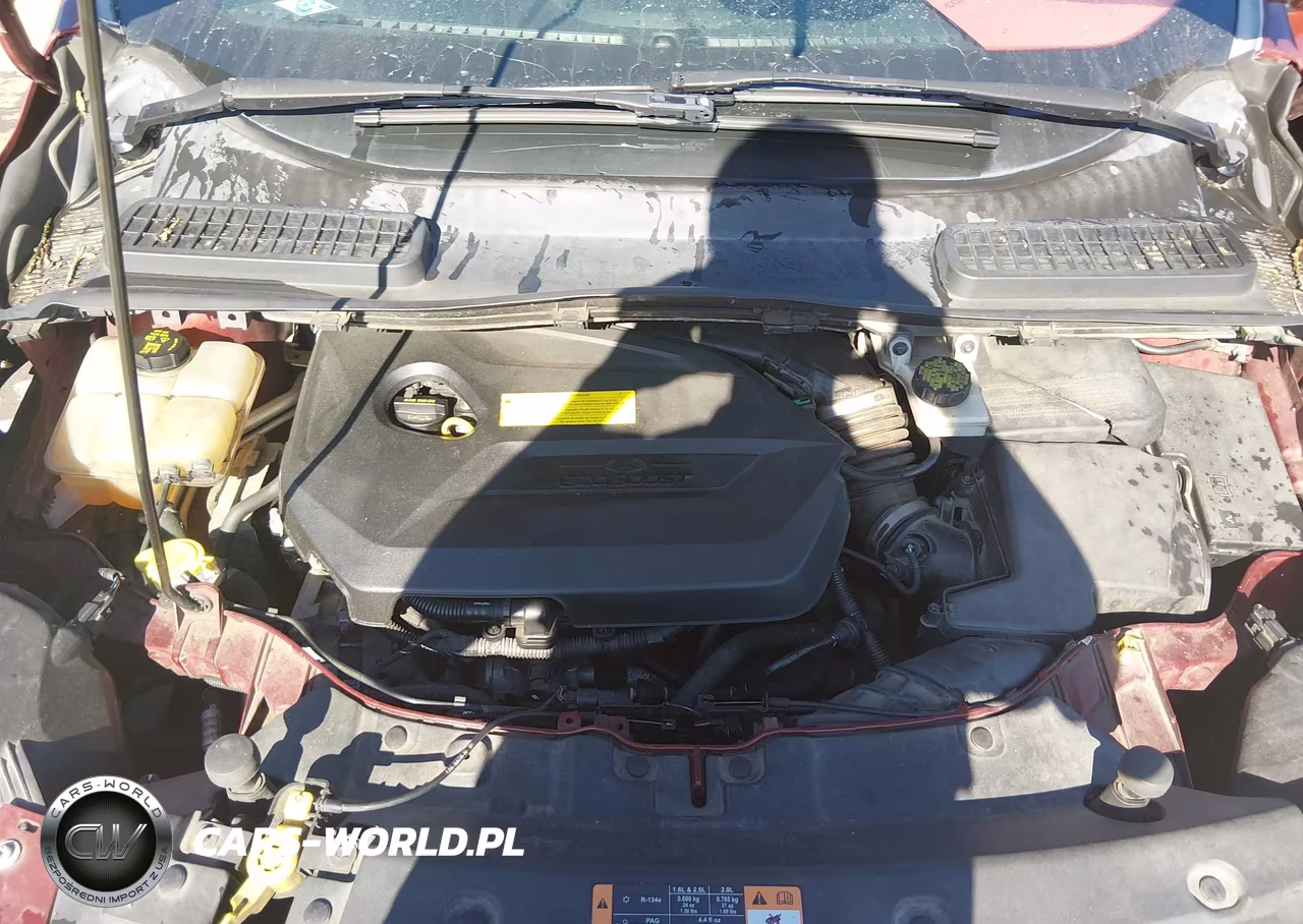2015 Ford Escape Se VIN:1FMCU9GX0FUA75870 - 10