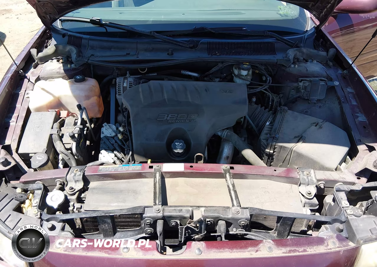 2004 Buick Lesabre Custom VIN:1G4HP52K94U200959 - 10