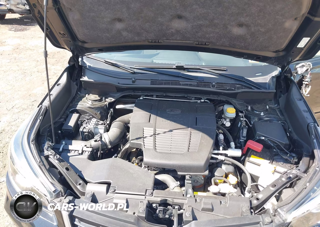 2019 Subaru Forester Premium VIN:JF2SKAEC6KH407676 - 10