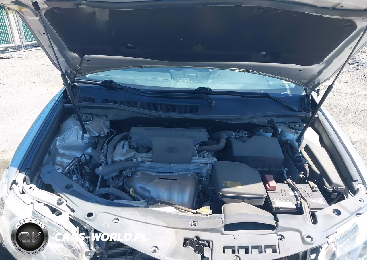 2014 Toyota Camry Se VIN:4T1BF1FK5EU385914 - 10