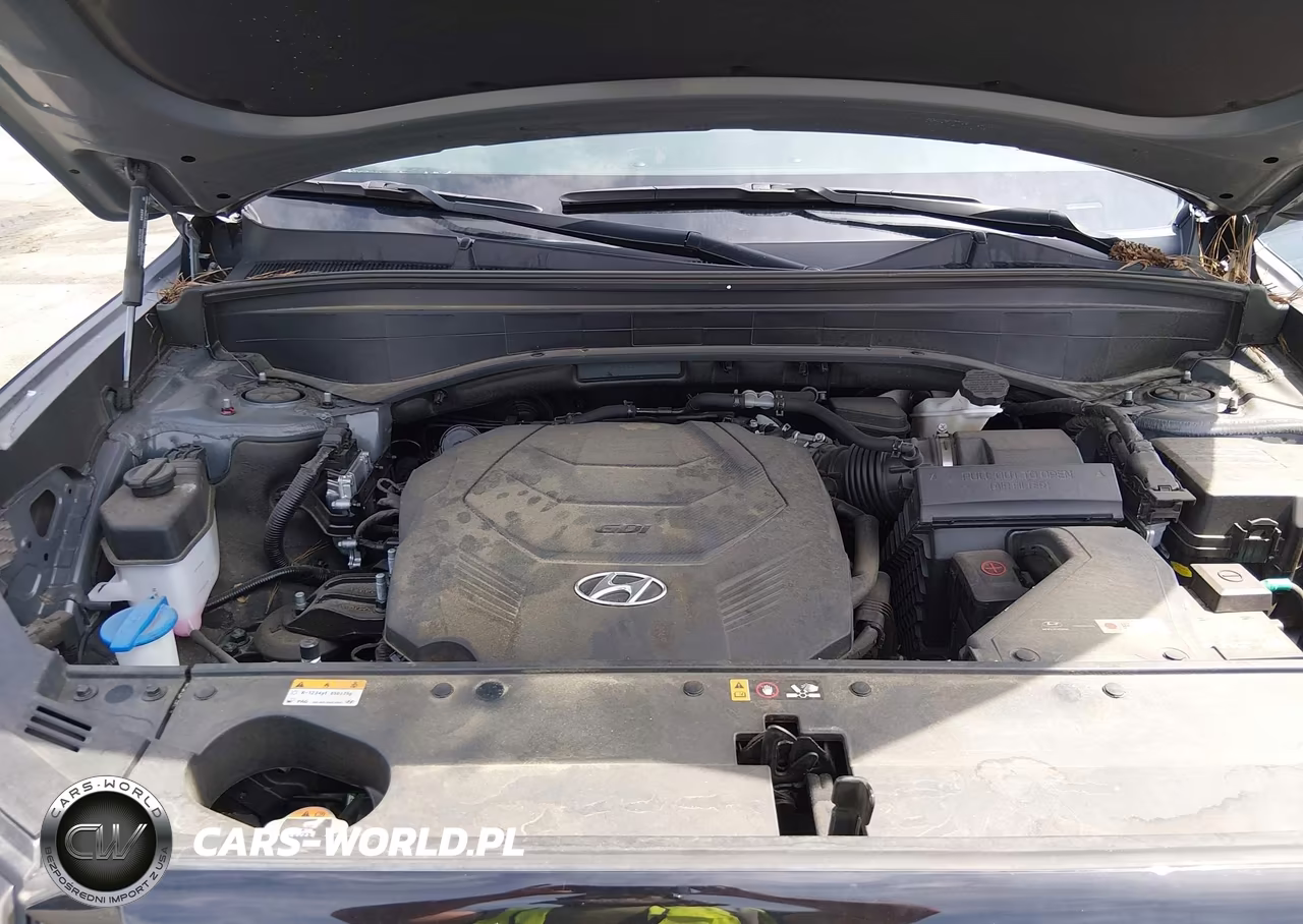 2023 Hyundai Palisade Xrt VIN:KM8R3DGE5PU559355 - 10