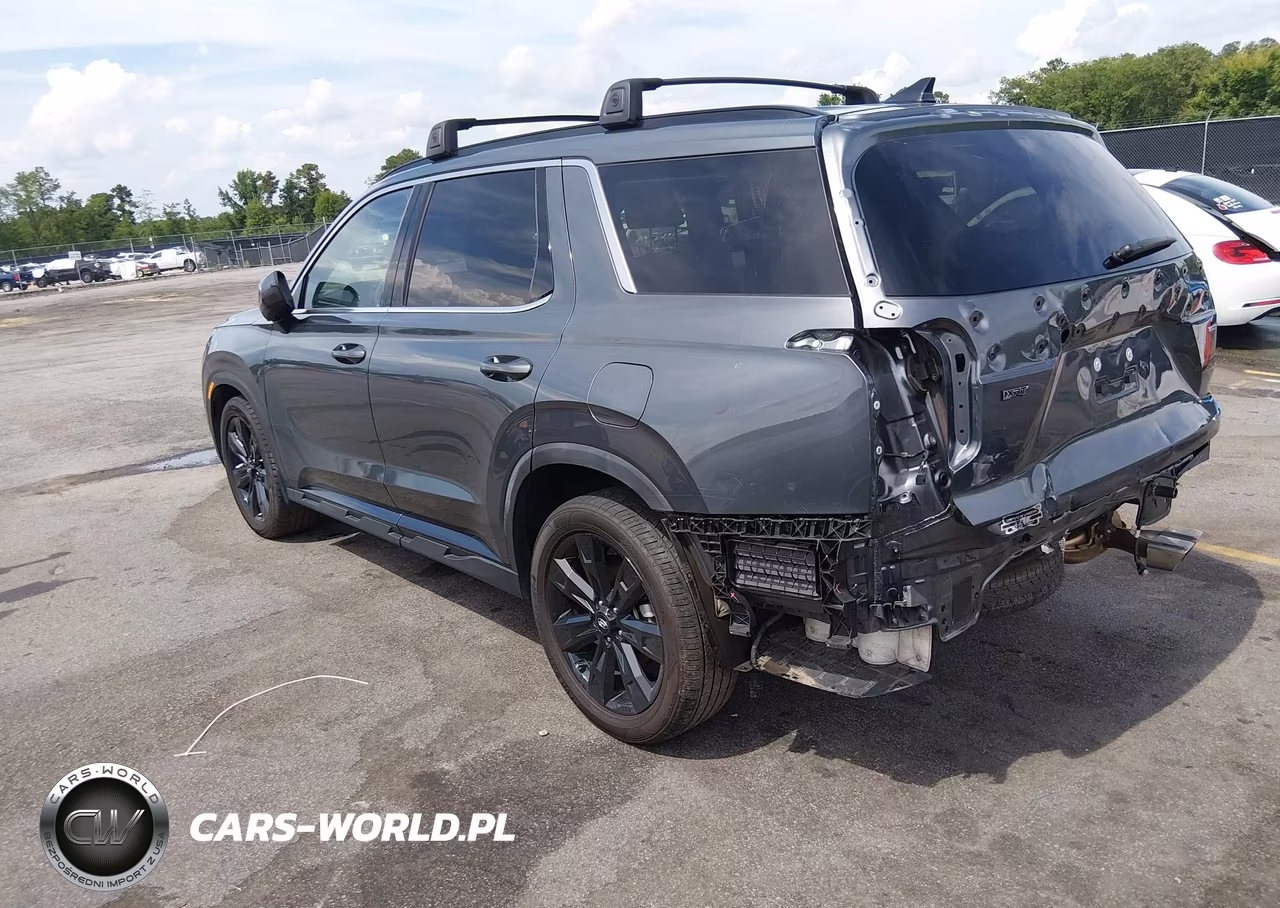 2023 Hyundai Palisade Xrt VIN:KM8R3DGE5PU559355 - 3