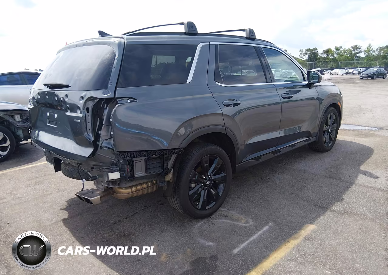2023 Hyundai Palisade Xrt VIN:KM8R3DGE5PU559355 - 4