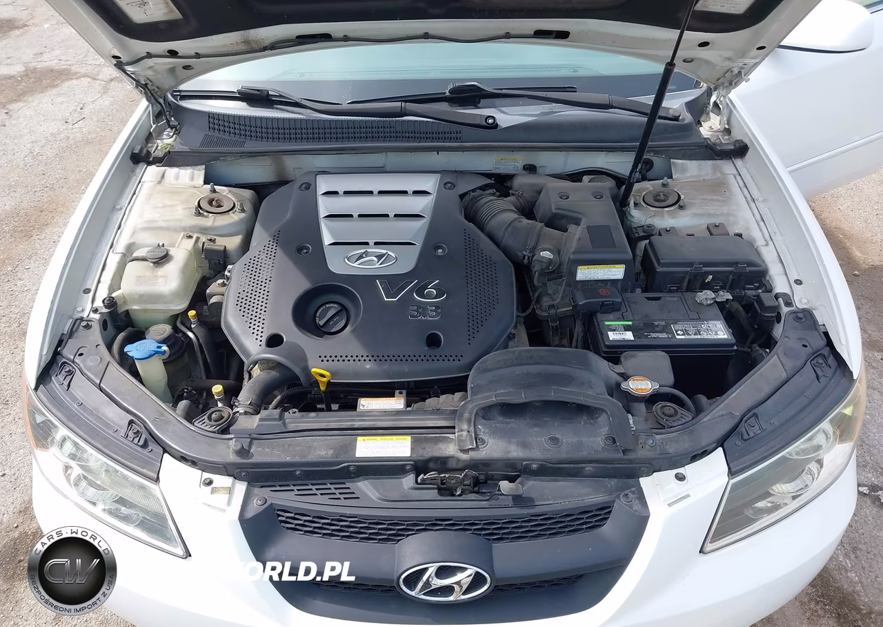 2006 Hyundai Sonata Gls V6-Lx V6 VIN:5NPEU46F06H070932 - 10