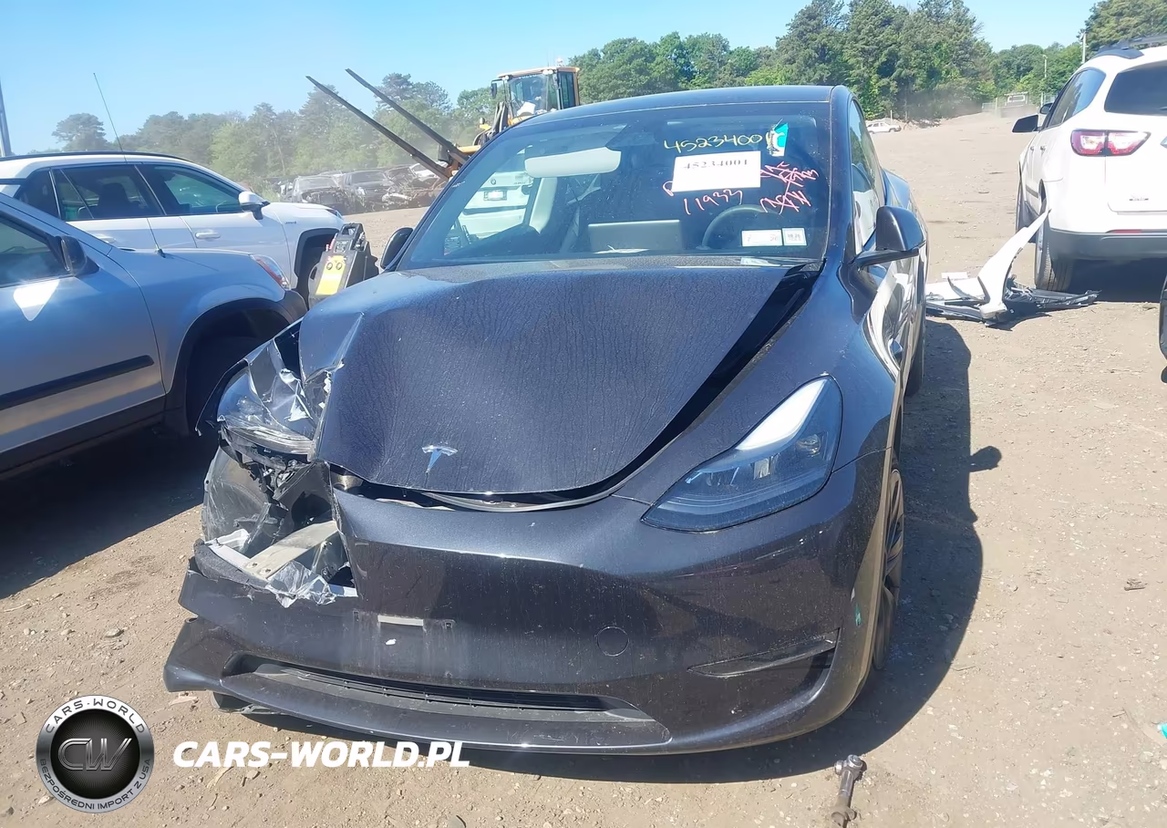 2024 Tesla Model Y Long Range Dual Motor All-Wheel Drive VIN:7SAYGDEE6RF131882 - 11