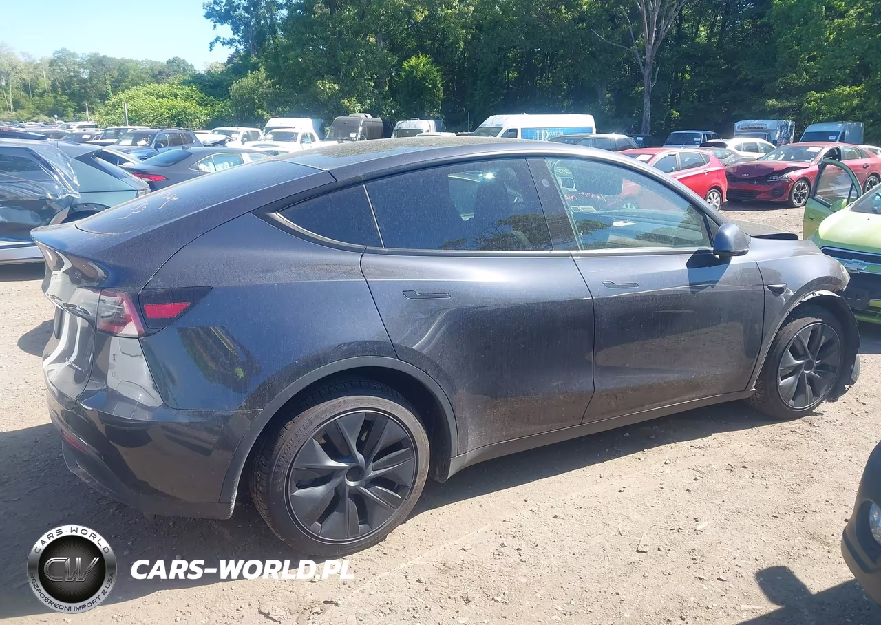 2024 Tesla Model Y Long Range Dual Motor All-Wheel Drive VIN:7SAYGDEE6RF131882 - 12