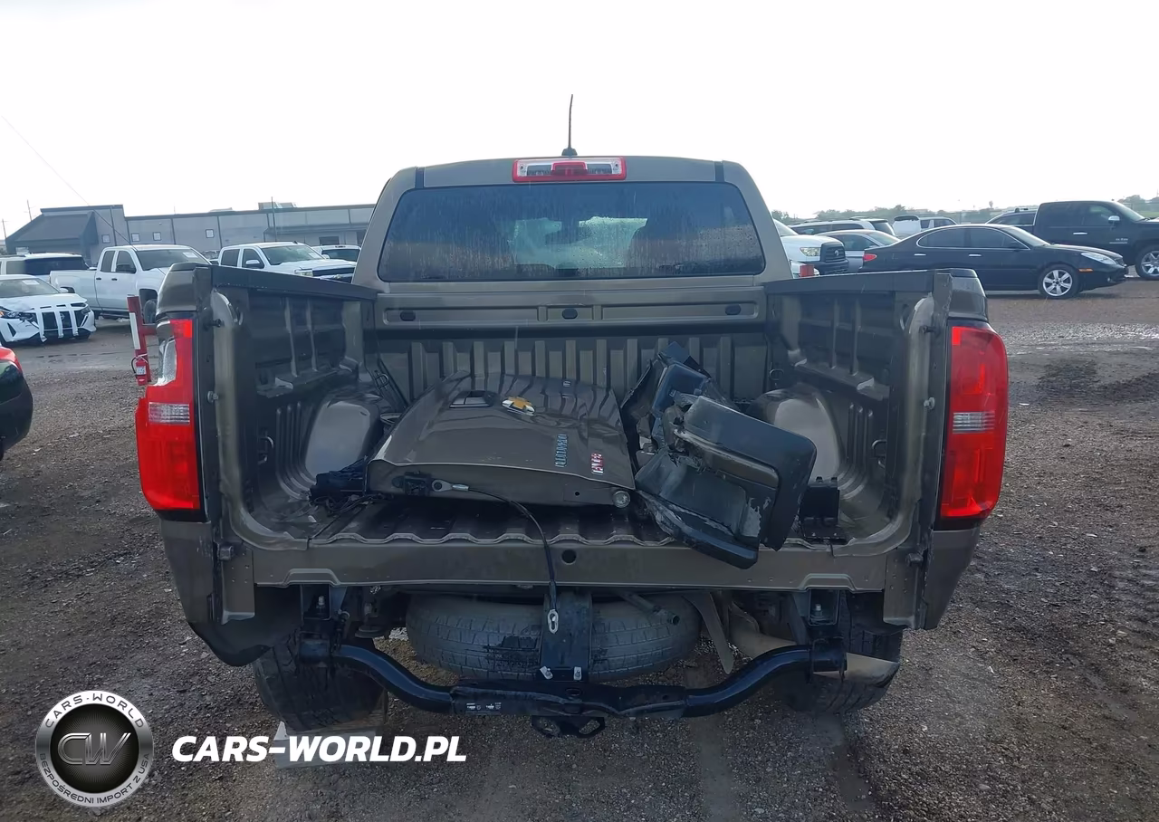2016 Chevrolet Colorado Lt VIN:1GCGSCEA1G1361754 - 17