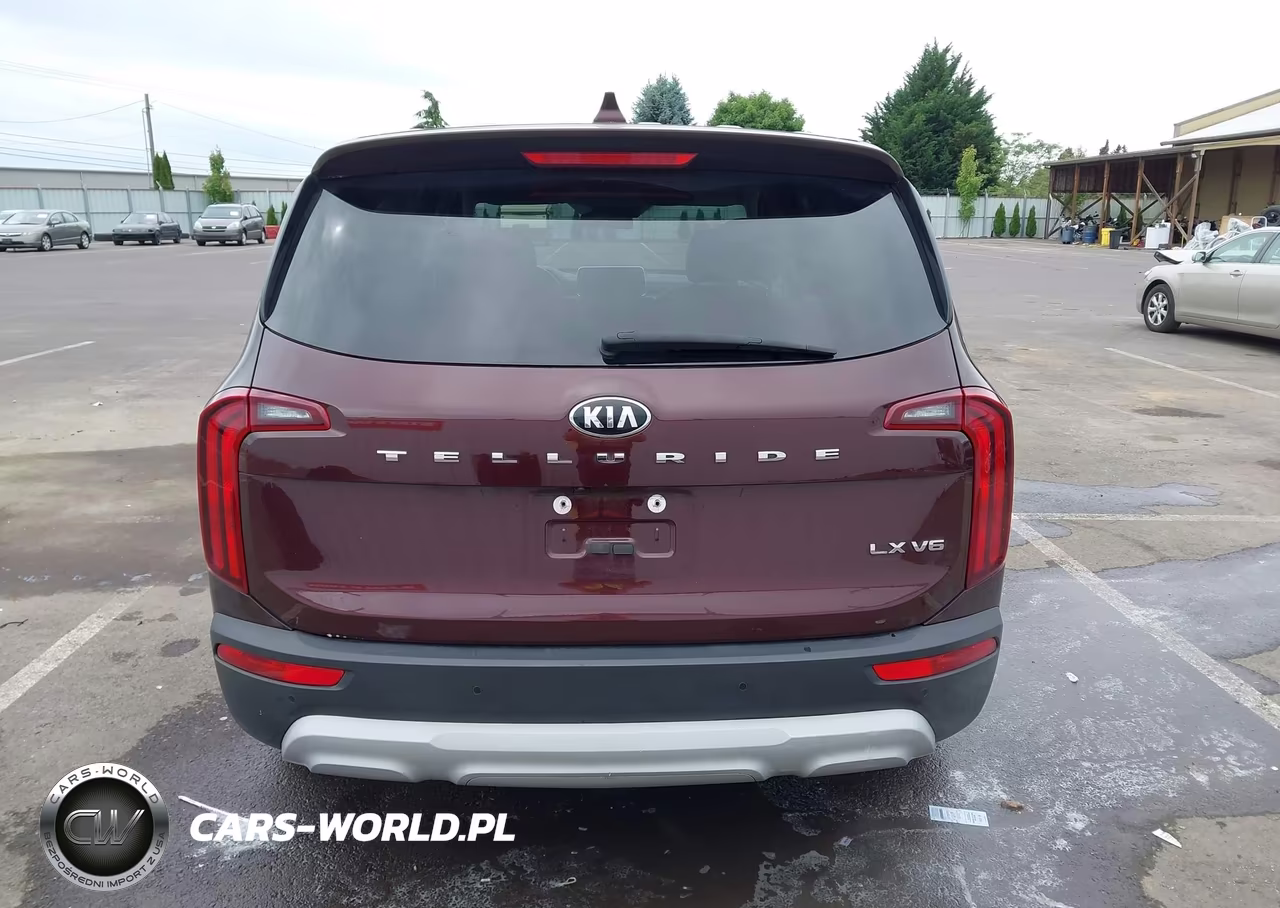 2020 Kia Telluride Lx VIN:5XYP24HC3LG060111 - 16