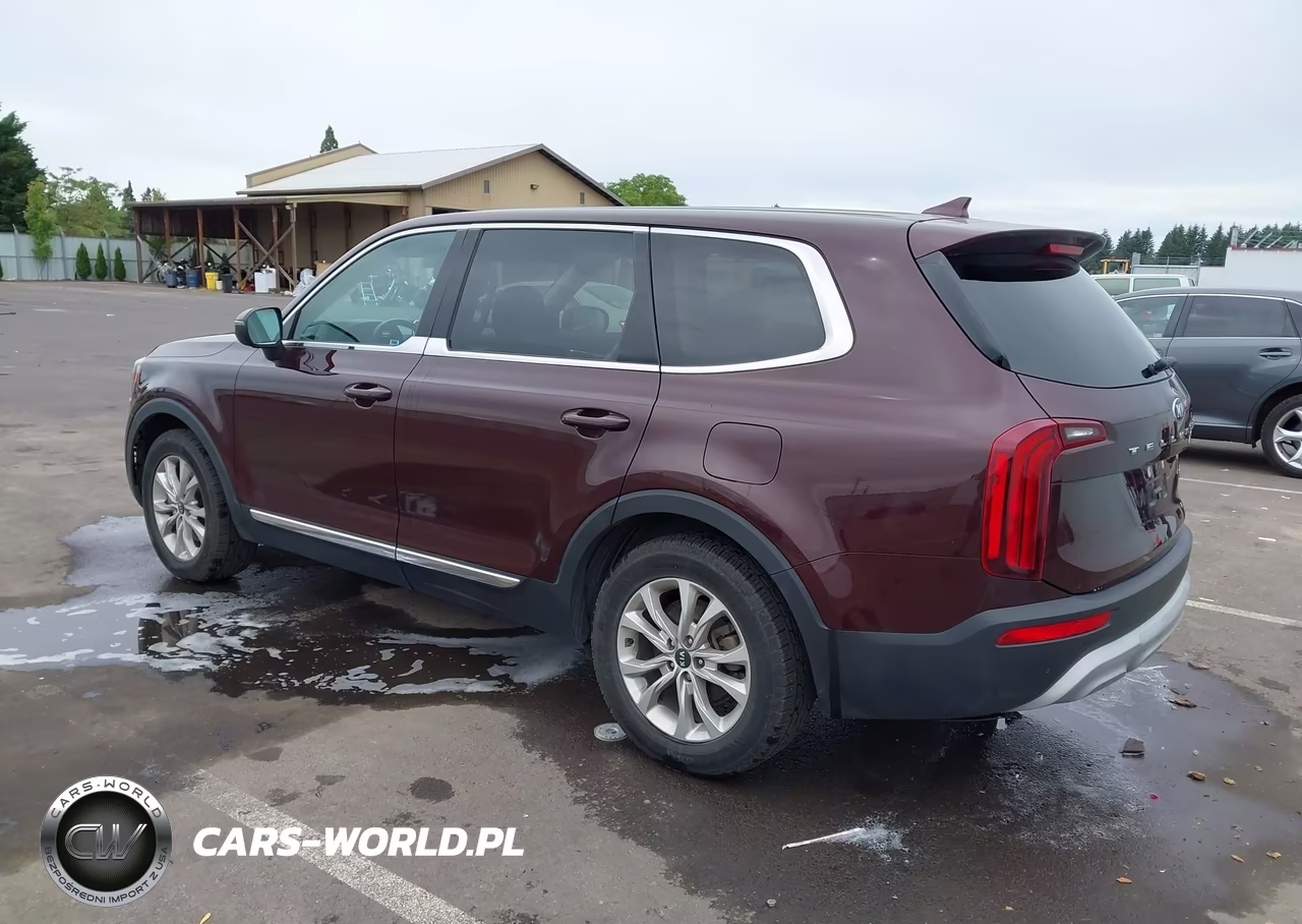 2020 Kia Telluride Lx VIN:5XYP24HC3LG060111 - 3
