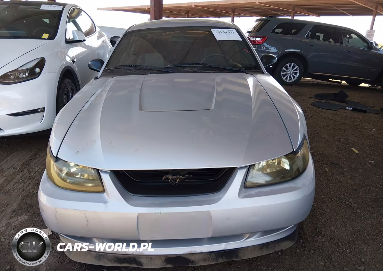 2003 Ford Mustang VIN:1FAFP40453F441842 - 12