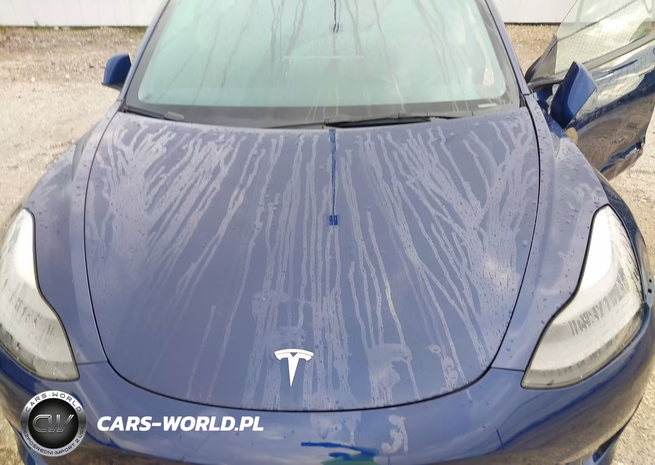 2023 Tesla Model 3 Rear-Wheel Drive VIN:5YJ3E1EA0PF659374 - 10