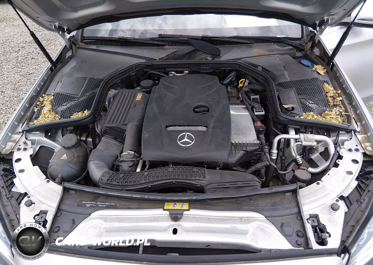 2017 Mercedes-Benz C 300 Sport 4Matic VIN:55SWF4KB5HU191943 - 10