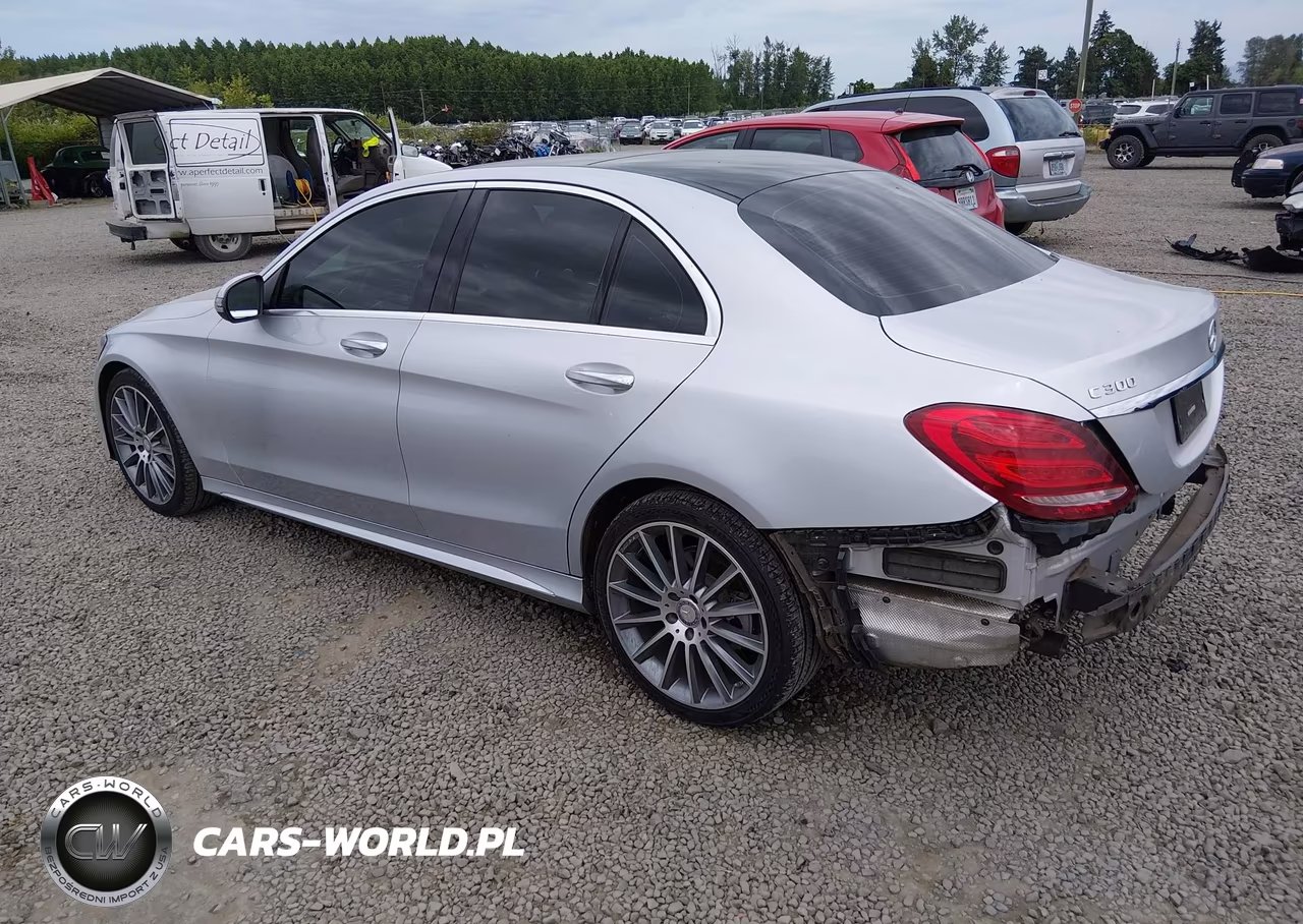2017 Mercedes-Benz C 300 Sport 4Matic VIN:55SWF4KB5HU191943 - 3
