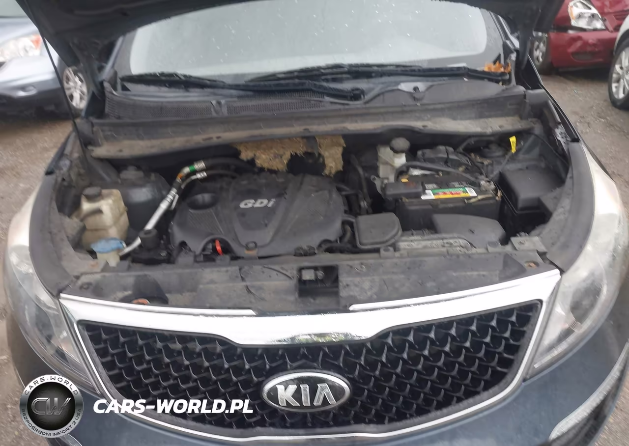 2016 Kia Sportage Lx VIN:KNDPB3AC4G7806105 - 10