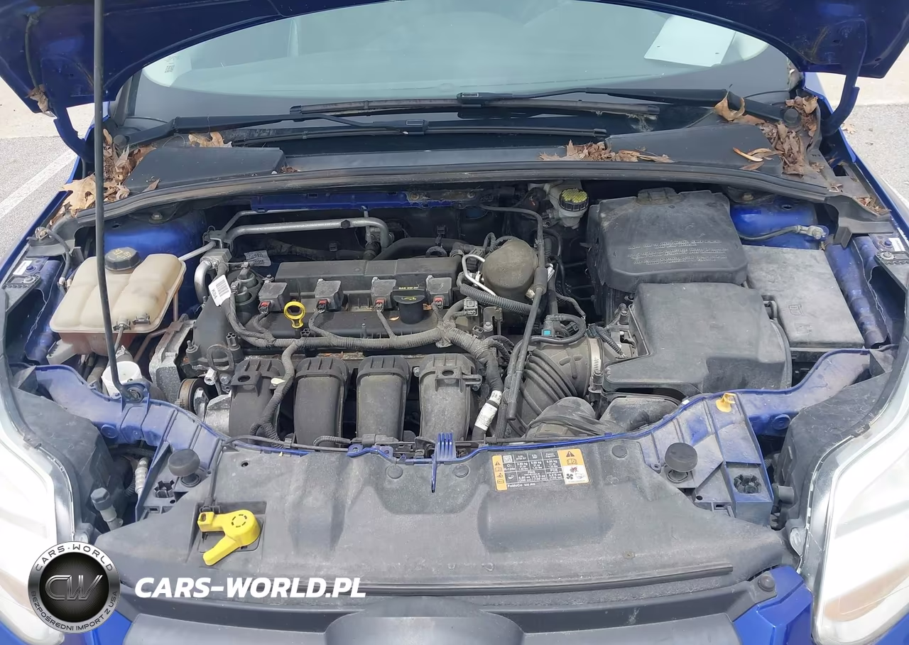 2014 Ford Focus Se VIN:1FADP3K27EL373688 - 10
