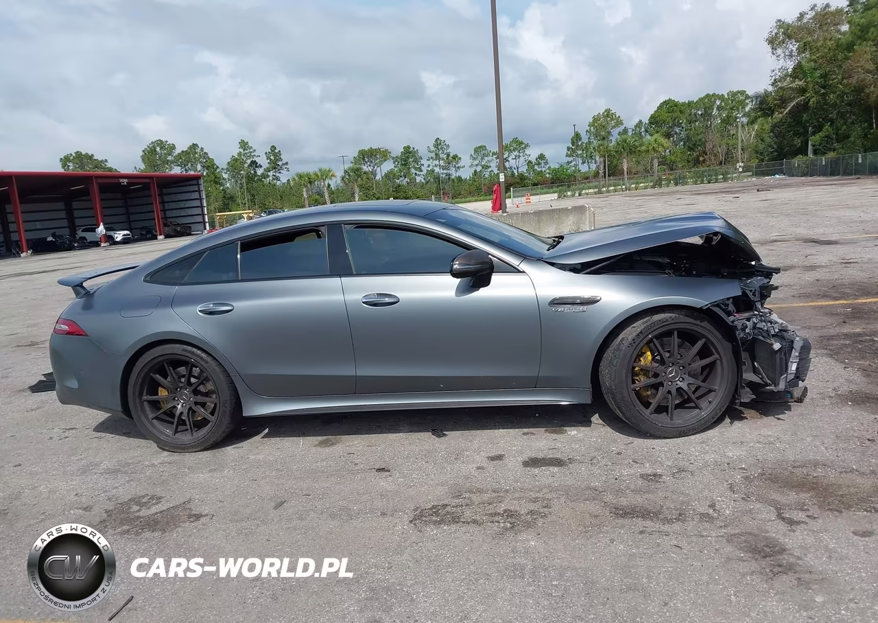 2019 Mercedes-Benz Amg Gt 63 4-Door Coupe S VIN:WDD7X8KB6KA003611 - 13