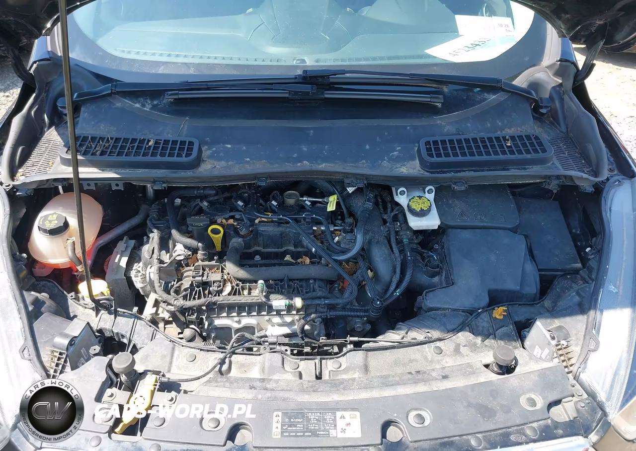 2019 Ford Escape Se VIN:1FMCU9GD3KUA64300 - 10