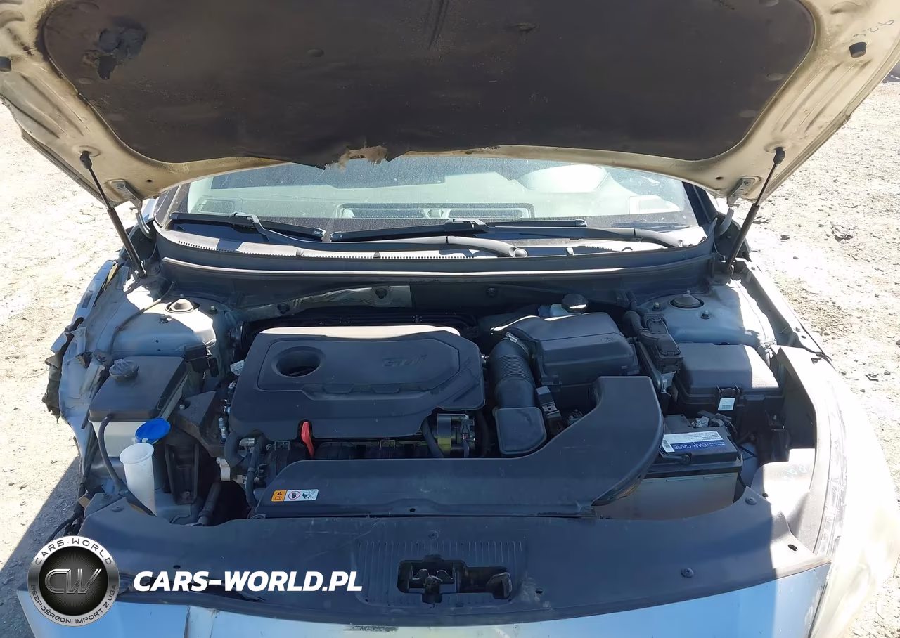 2015 Hyundai Sonata Se VIN:5NPE24AF1FH147241 - 10