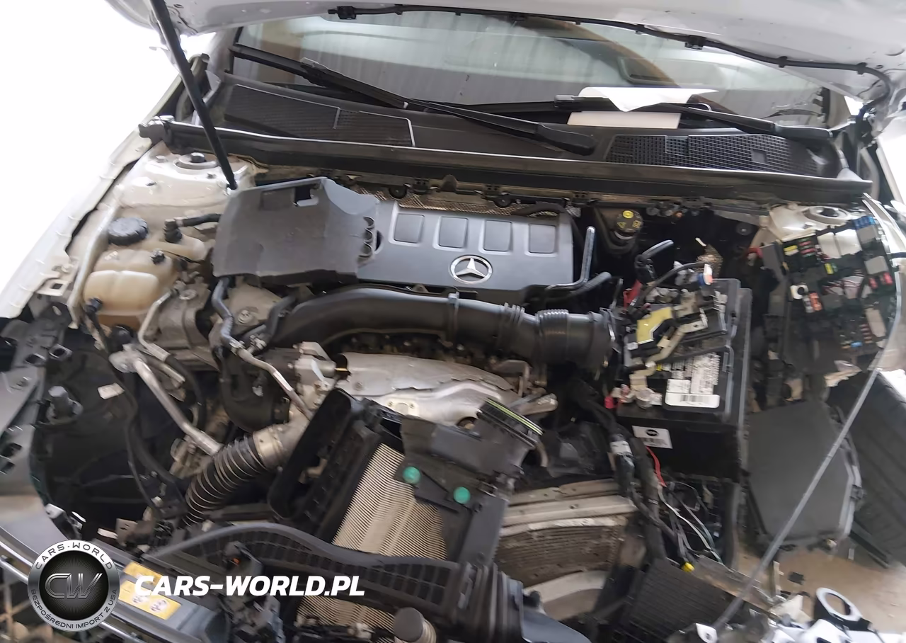 2020 Mercedes-Benz A 220 4Matic VIN:WDD3G4FBXLW036679 - 10
