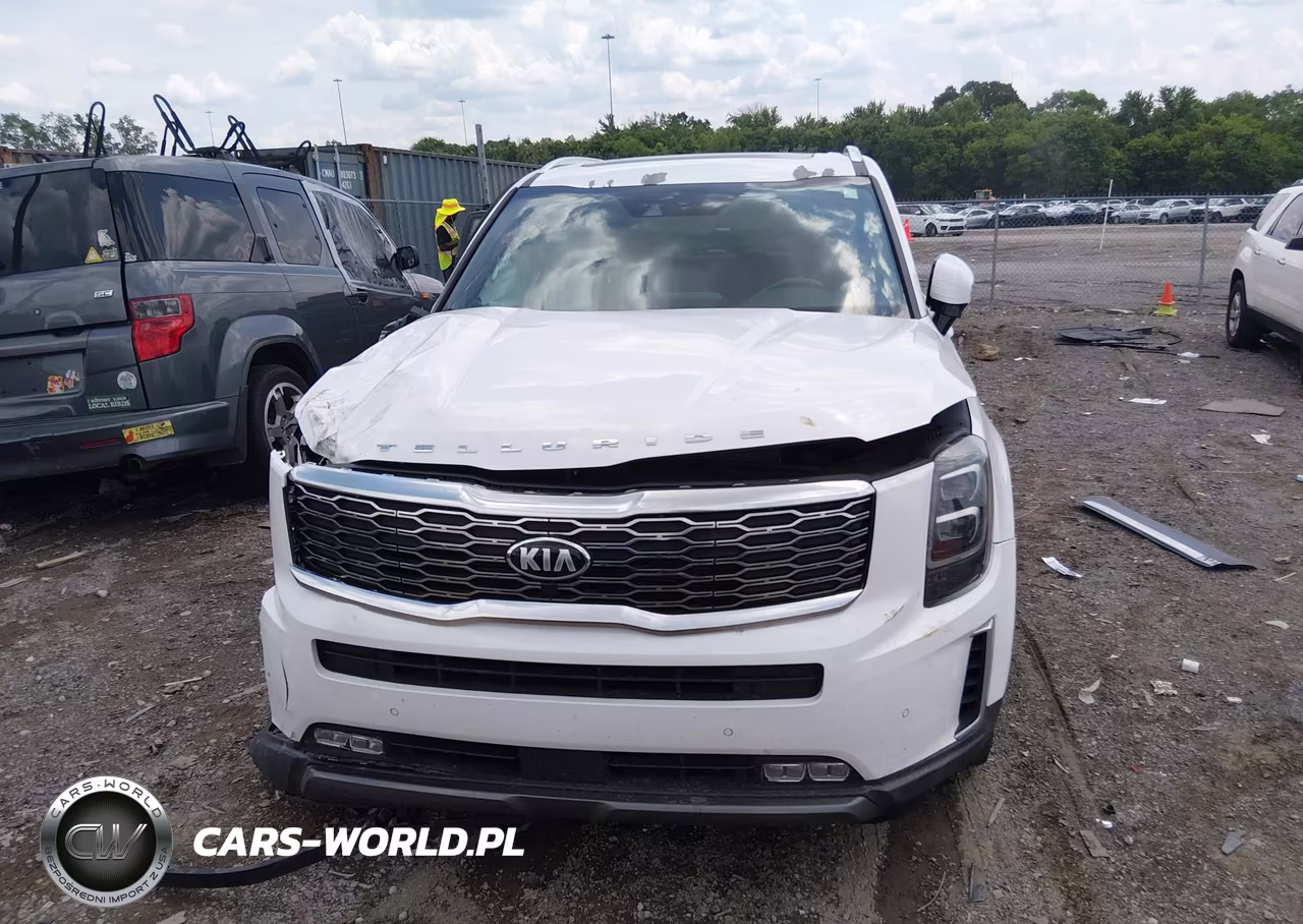 2020 Kia Telluride Sx VIN:5XYP5DHC2LG046725 - 13