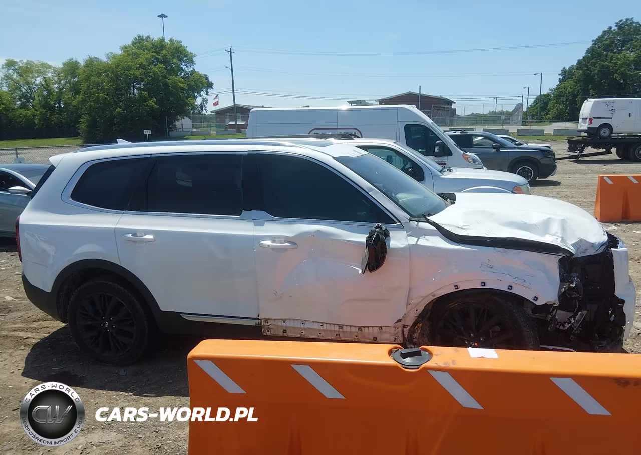 2020 Kia Telluride Sx VIN:5XYP5DHC2LG046725 - 14