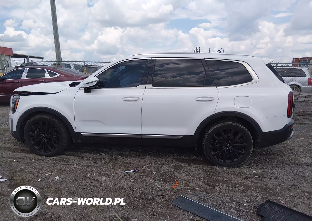 2020 Kia Telluride Sx VIN:5XYP5DHC2LG046725 - 15
