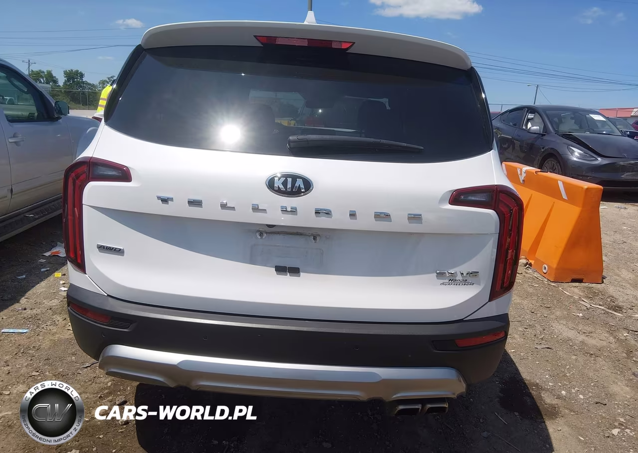 2020 Kia Telluride Sx VIN:5XYP5DHC2LG046725 - 17