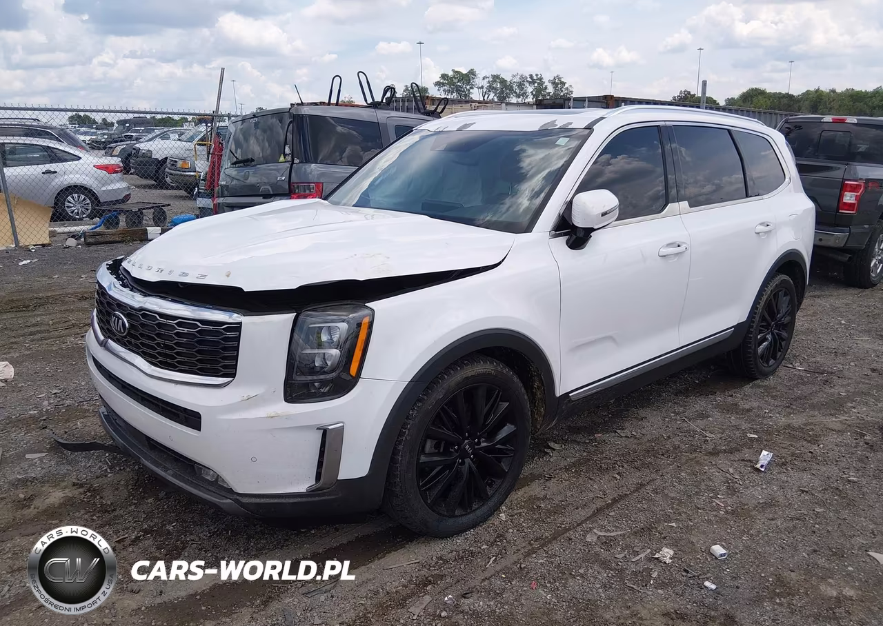 2020 Kia Telluride Sx VIN:5XYP5DHC2LG046725 - 2