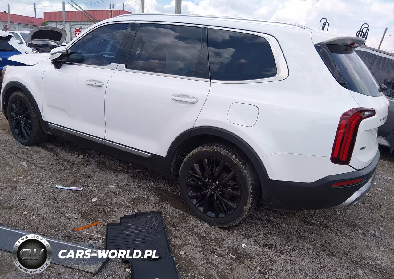 2020 Kia Telluride Sx VIN:5XYP5DHC2LG046725 - 3