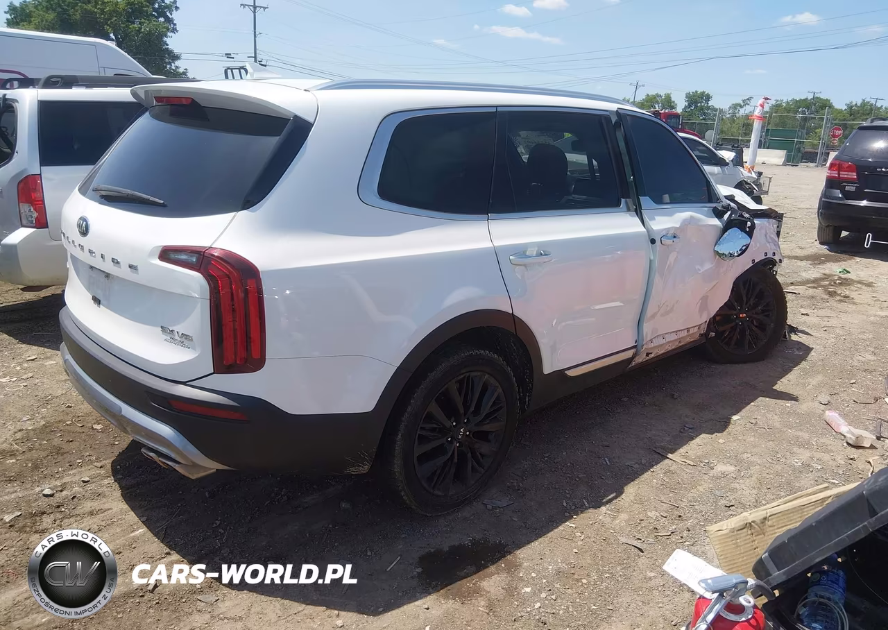 2020 Kia Telluride Sx VIN:5XYP5DHC2LG046725 - 4