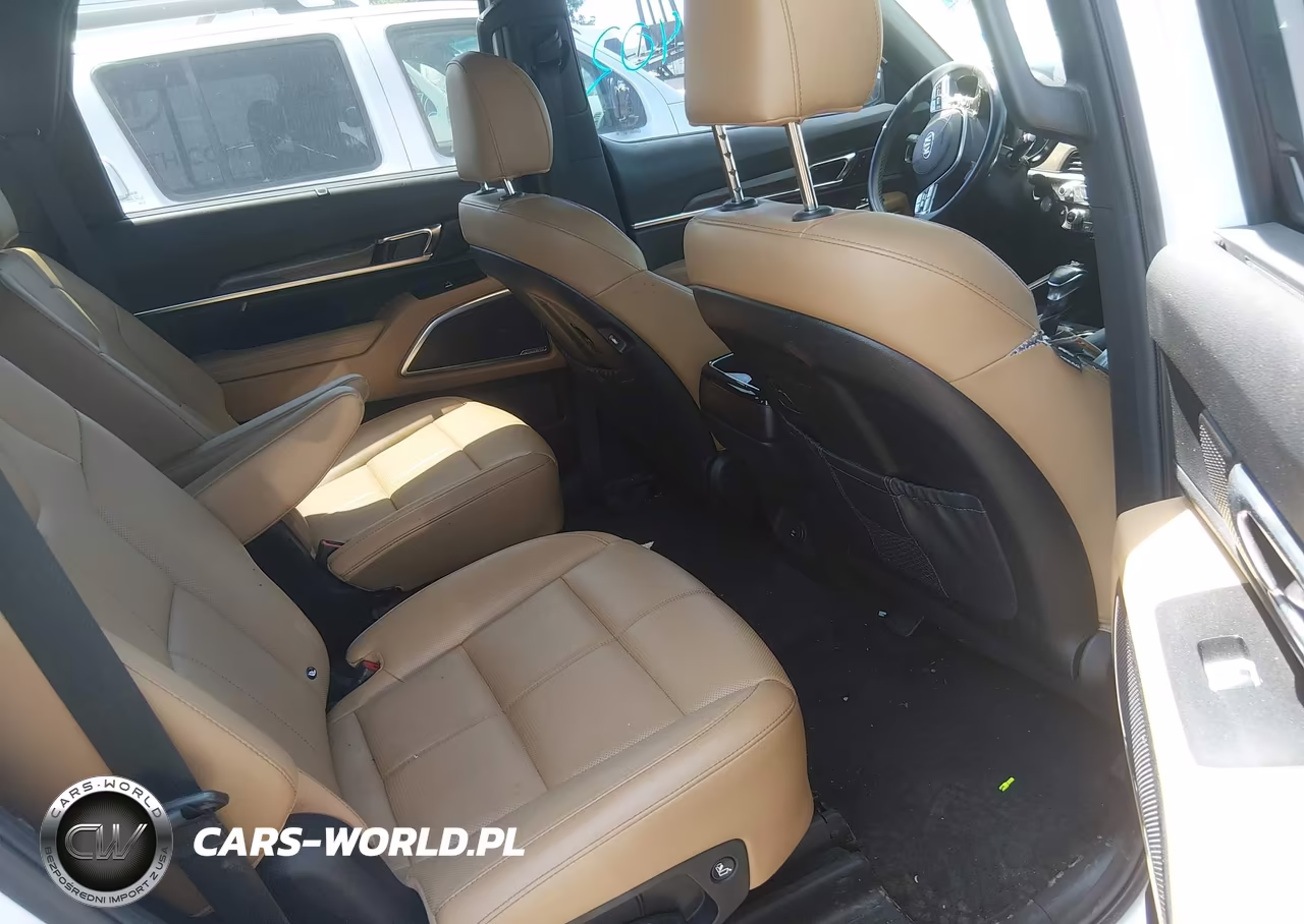 2020 Kia Telluride Sx VIN:5XYP5DHC2LG046725 - 8