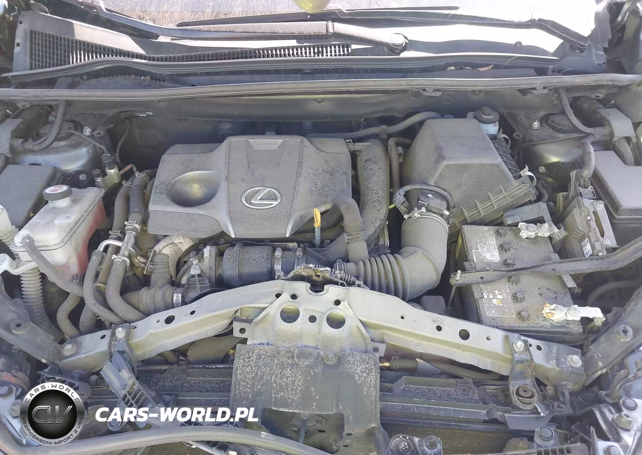 2021 Lexus Nx Nx 300 F Sport VIN:JTJSARDZ7M2261152 - 10