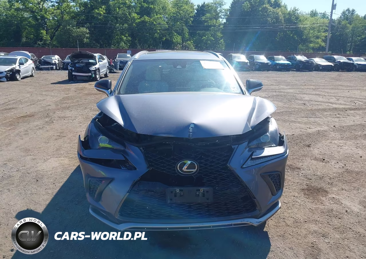 2021 Lexus Nx Nx 300 F Sport VIN:JTJSARDZ7M2261152 - 12