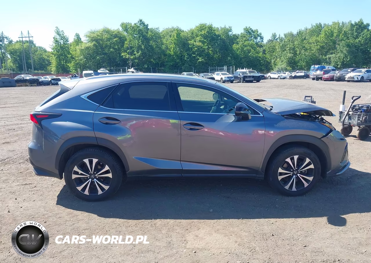 2021 Lexus Nx Nx 300 F Sport VIN:JTJSARDZ7M2261152 - 13