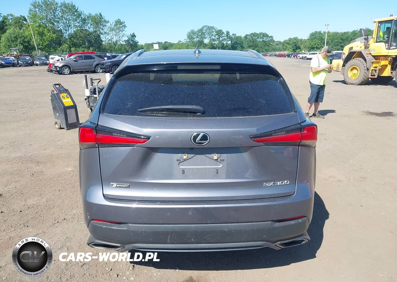 2021 Lexus Nx Nx 300 F Sport VIN:JTJSARDZ7M2261152 - 16