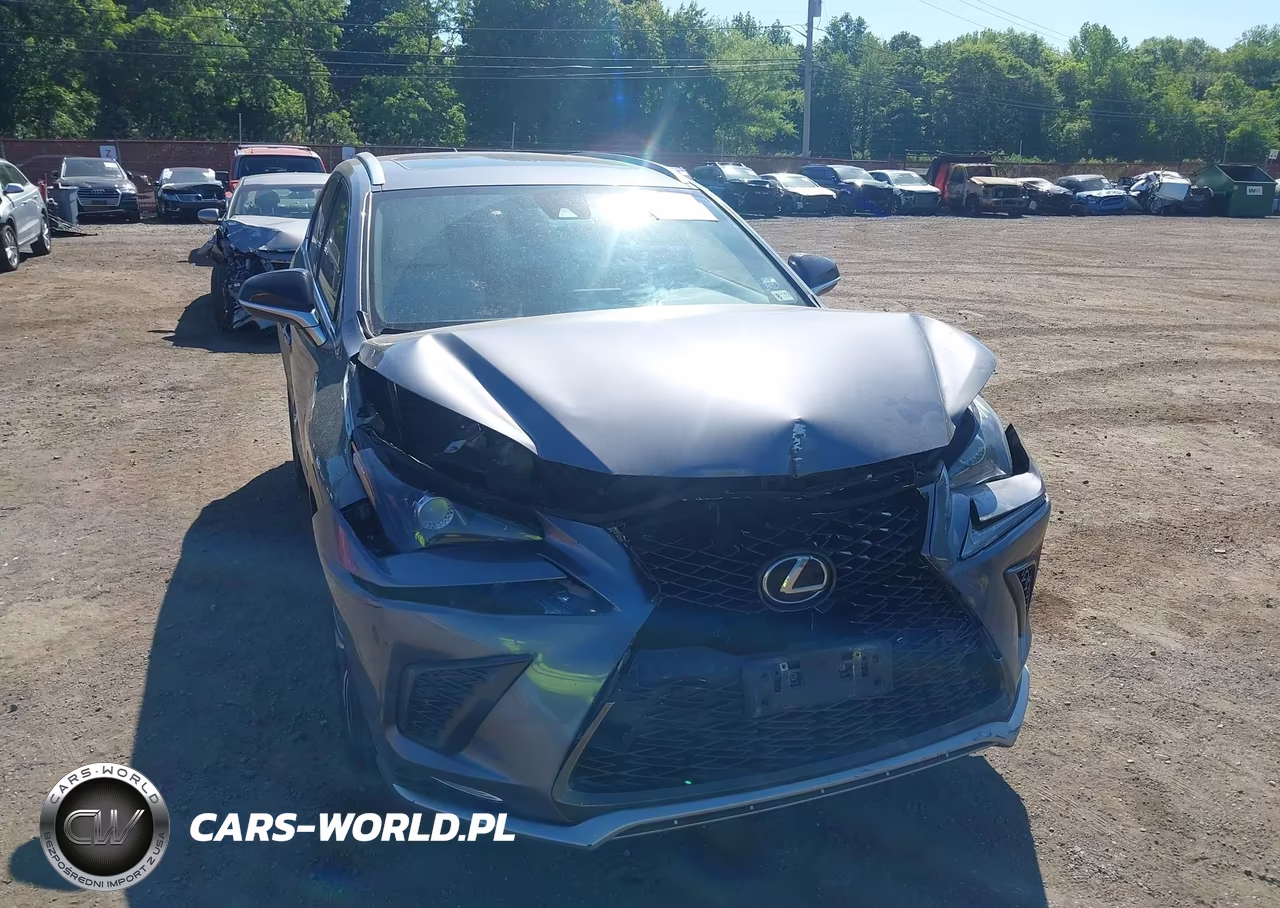2021 Lexus Nx Nx 300 F Sport VIN:JTJSARDZ7M2261152 - 17